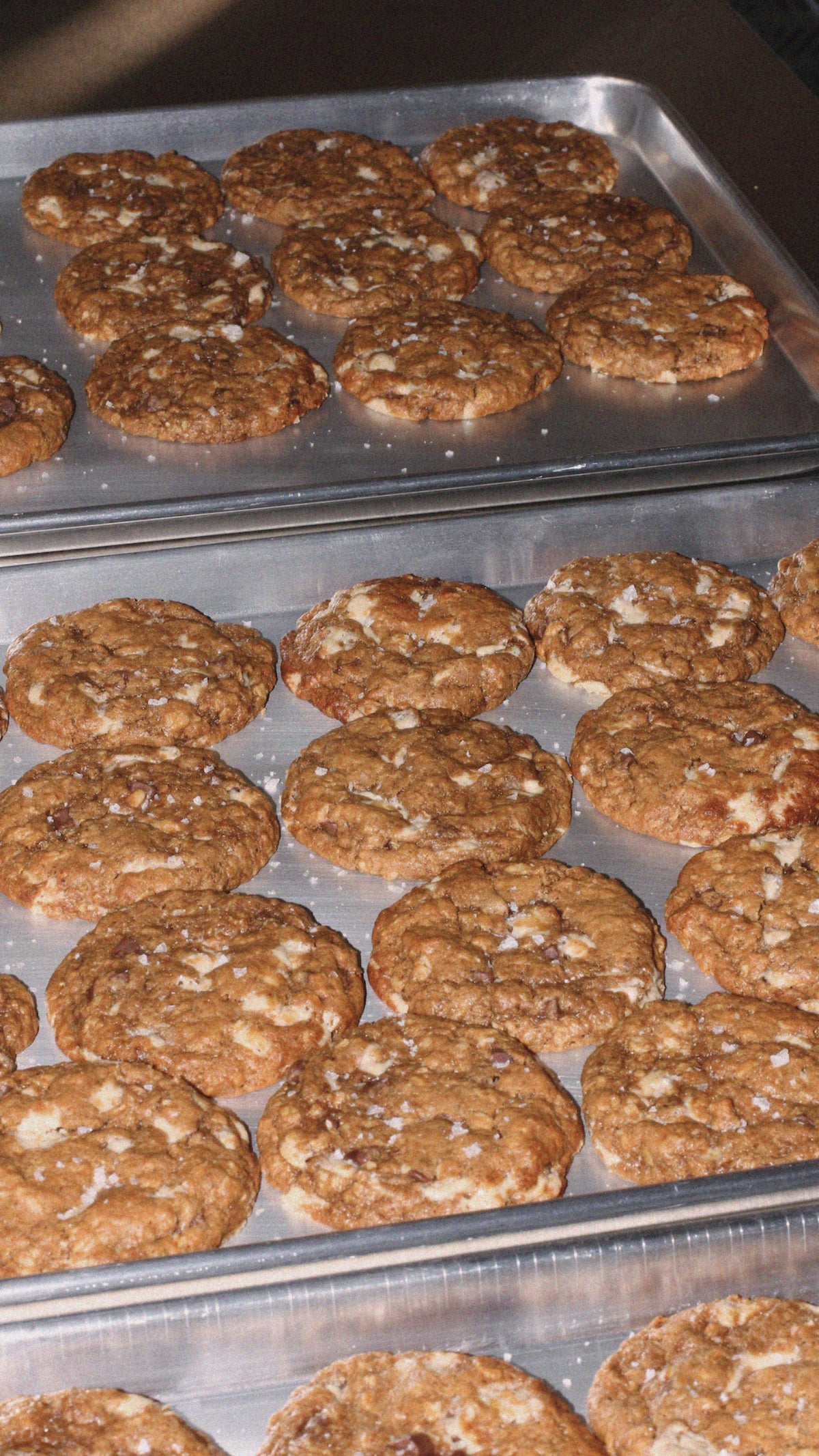 Rows of freshly baked vegan lactation support cookies on metal baking trays.
